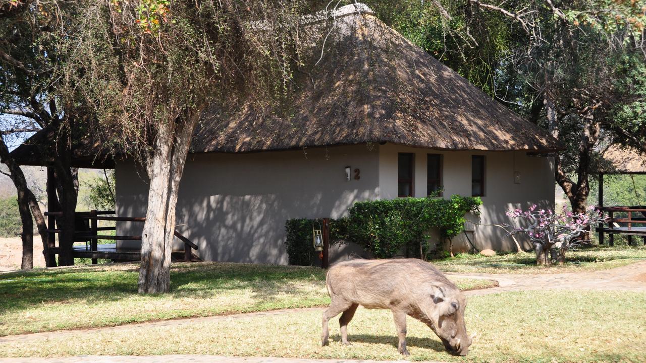 Nyati Safari Lodge Hoedspruit Exterior photo